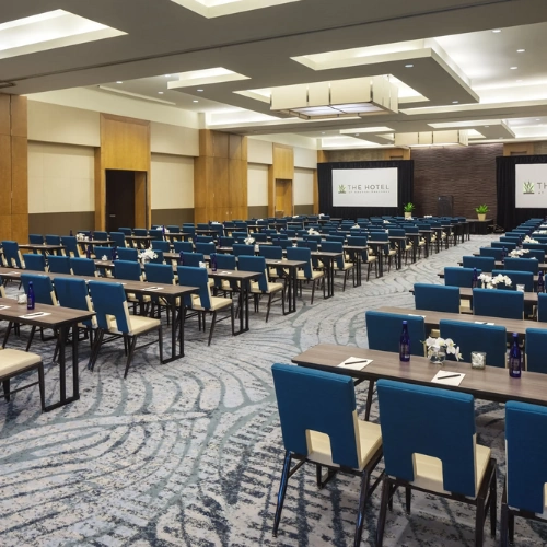 International Hotel Chain