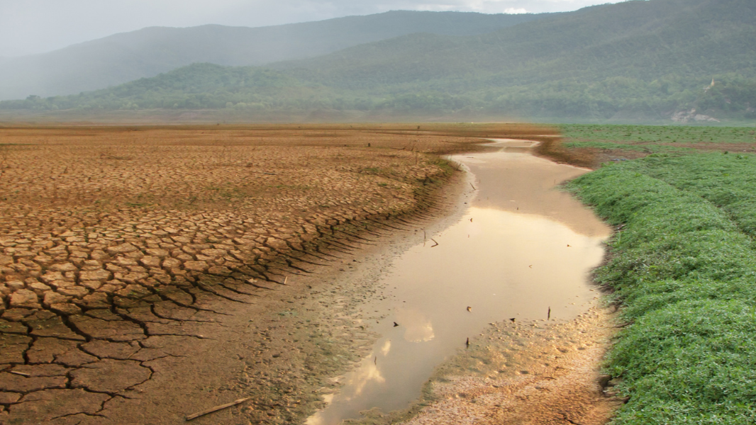 Landscape showing drought and water stress in one field, a small drying river and a green mountain in the background.