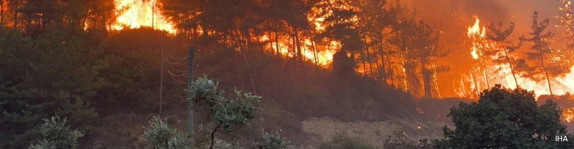 Flames moving up a wooded hill, during Turkish wildfires.
