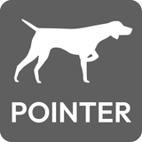 Pointer Consultancy Group