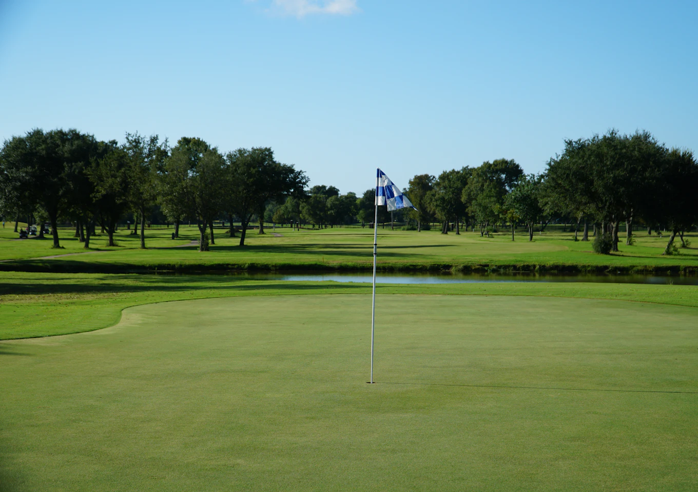 Golf course green and fairway lined with trees